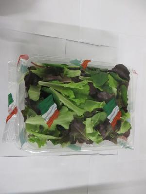 Šalát mix balený 125g