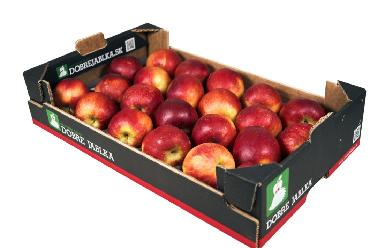 Jablko červené ukladané Red Prince