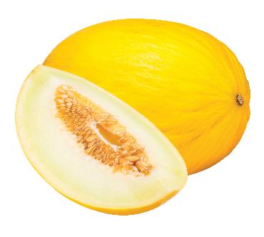 Melón žltý medový