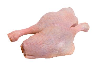 Stehná kačacie VB
